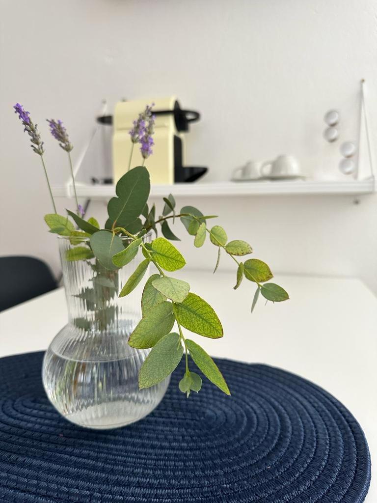 Apartments Zora Трогир Экстерьер фото